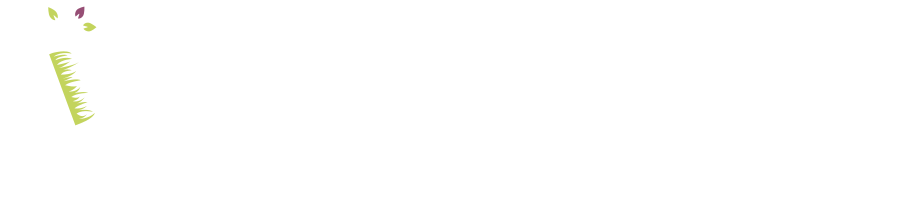 Tela Formation